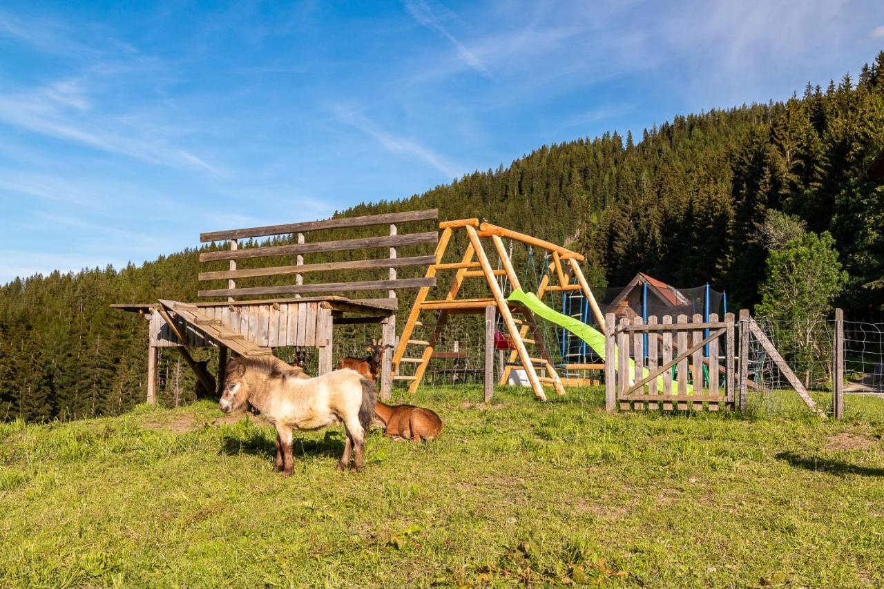 Bucheggerhof Apartment Schladming Luaran gambar